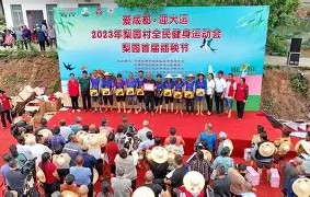 华体会-风云突变！孟菲斯灰熊今晚战术微调，法国杯版图或变，赛场秩序良好，身体对抗强度拉满 